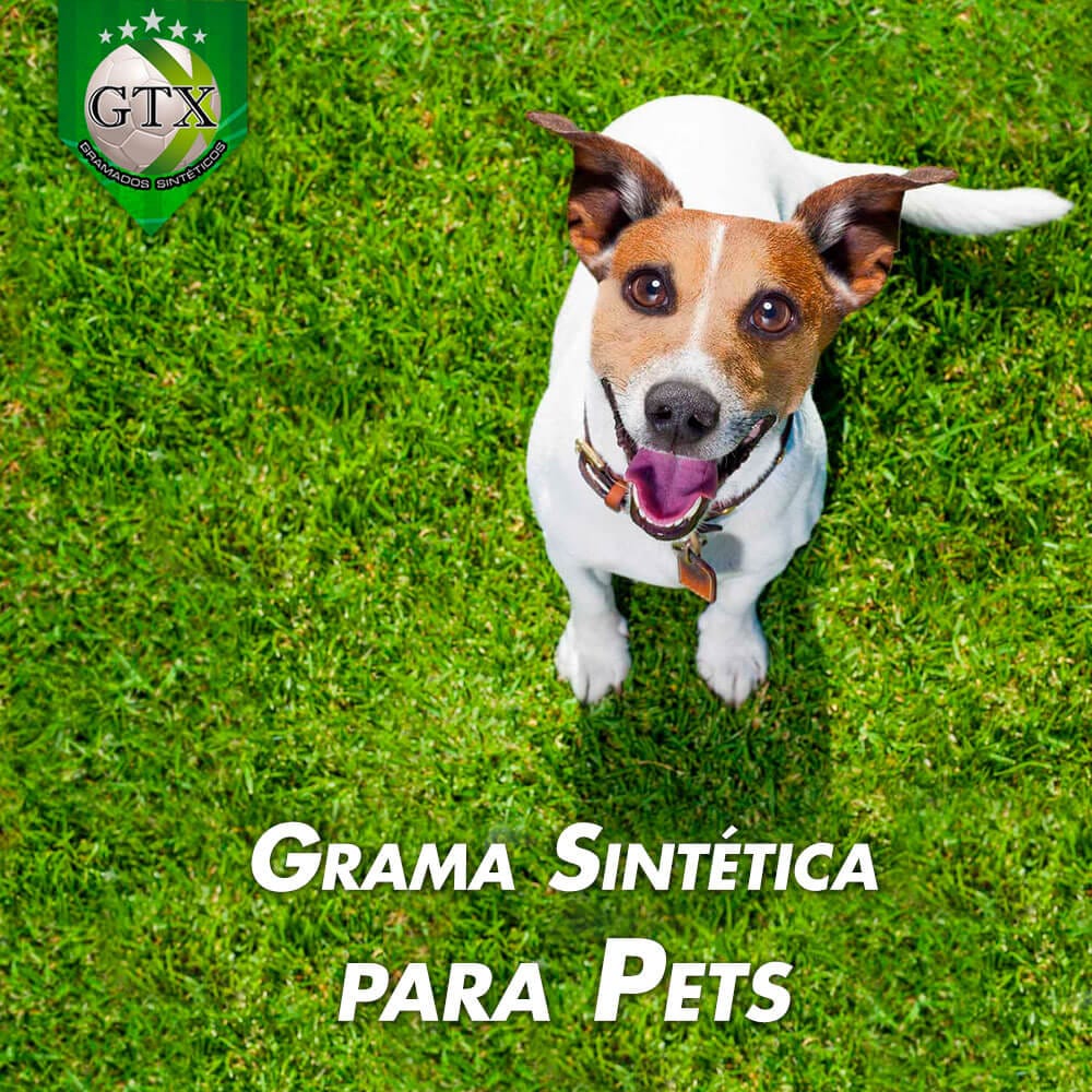 Grama Sintética para Pets